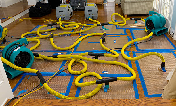 Professional Water Damage Repair technician working in Woods Hole, MA